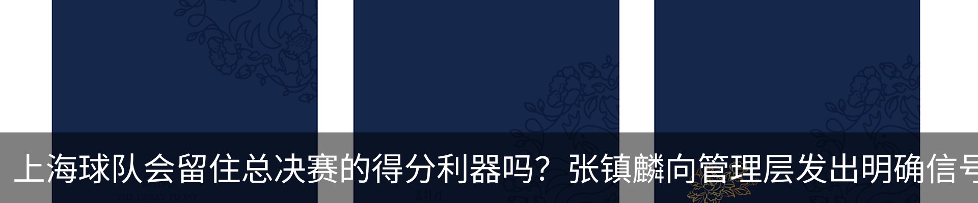 最新动态