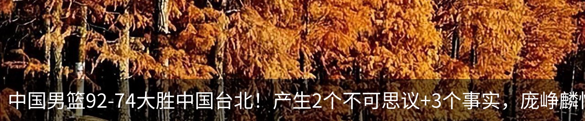 最新动态