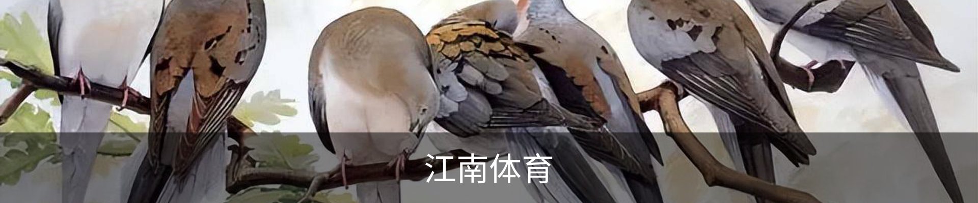 江南体育