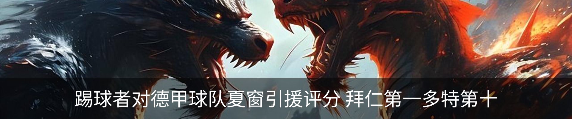最新动态