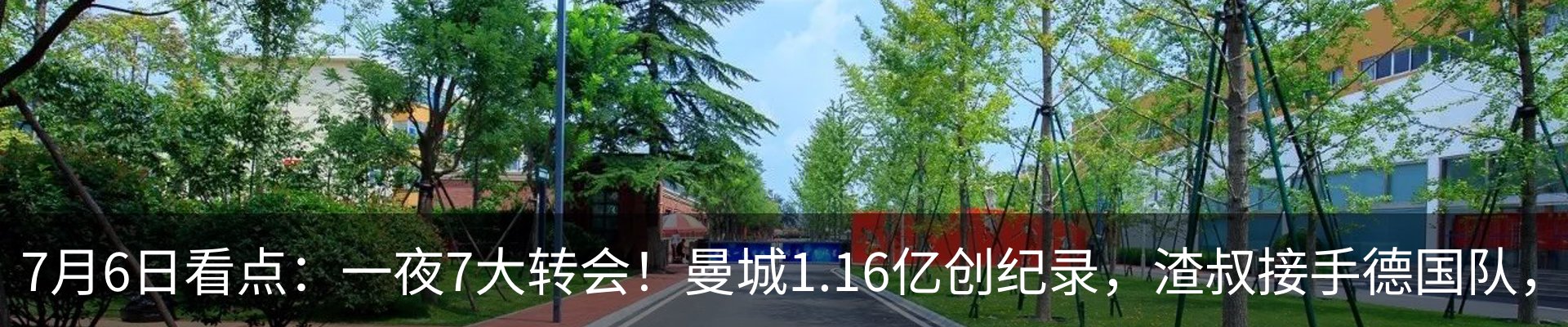 最新动态